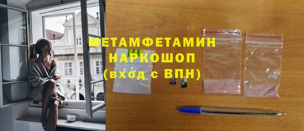 гидра Каменка