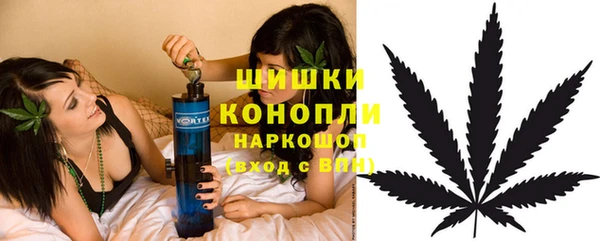 тгк Каменногорск