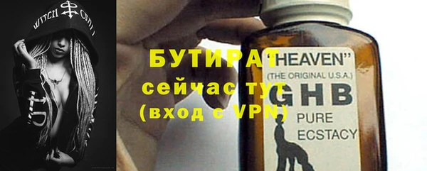 гидра Каменка