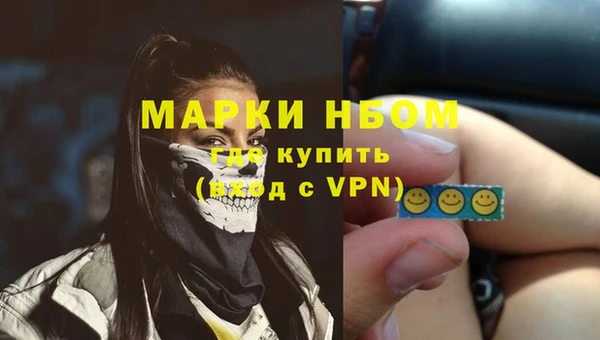 гидра Каменка