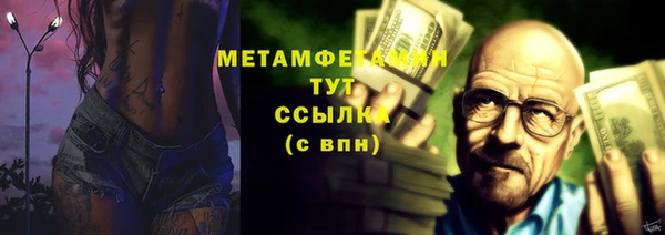 гидра Каменка