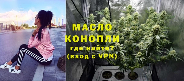 тгк Каменногорск