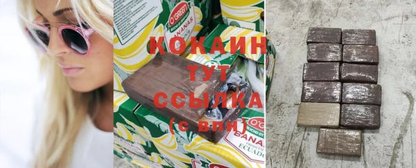 тгк Каменногорск