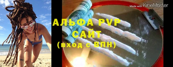 гидра Каменка