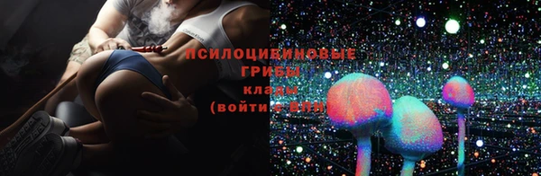 гидра Каменка