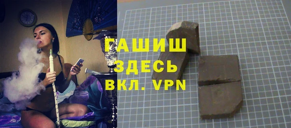 гидра Каменка