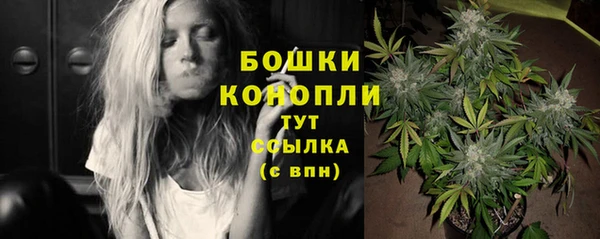тгк Каменногорск