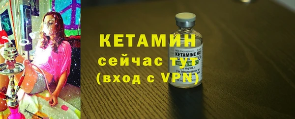 гидра Каменка