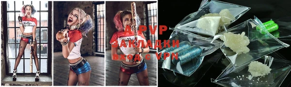 гидра Каменка