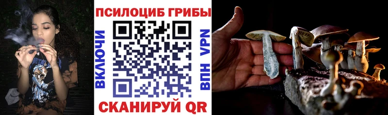 Галлюциногенные грибы мицелий Кашира